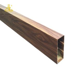 Geëxtrudeerde aluminium buisvormen